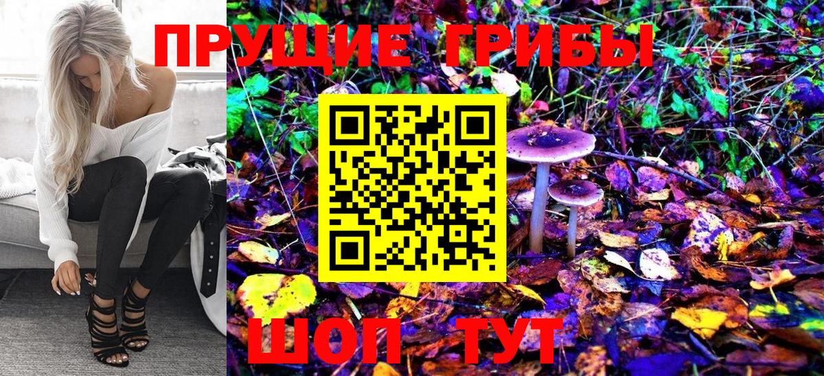 Галлюциногенные грибы Psilocybine cubensis Дзержинский